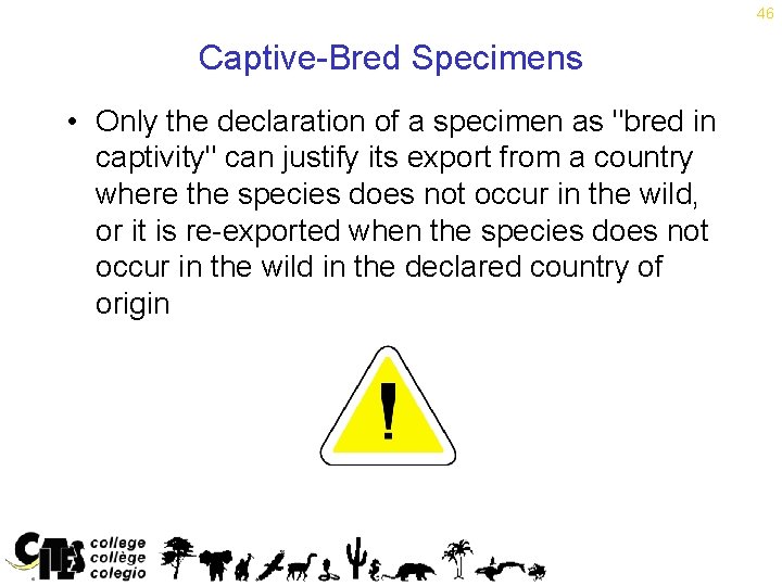 46 Captive-Bred Specimens • Only the declaration of a specimen as "bred in captivity"