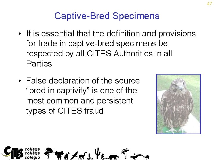 47 Captive-Bred Specimens • It is essential that the definition and provisions for trade