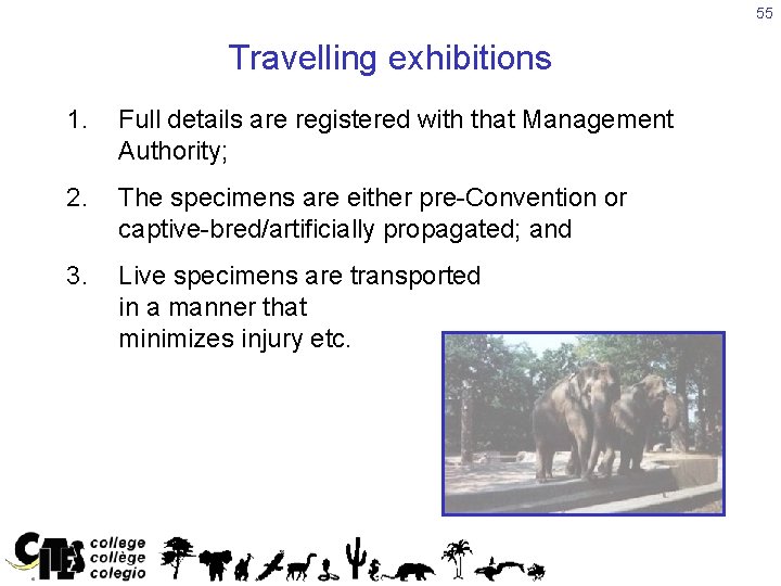 55 Travelling exhibitions 1. Full details are registered with that Management Authority; 2. The