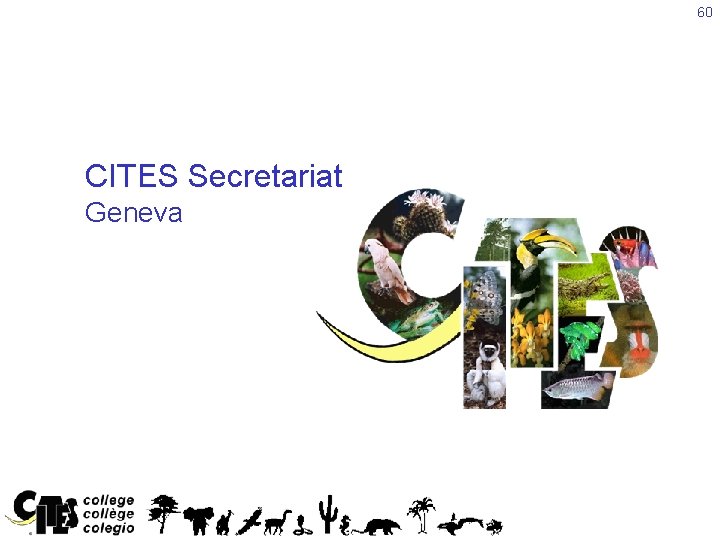 60 CITES Secretariat Geneva 