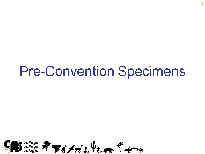 8 Pre-Convention Specimens 
