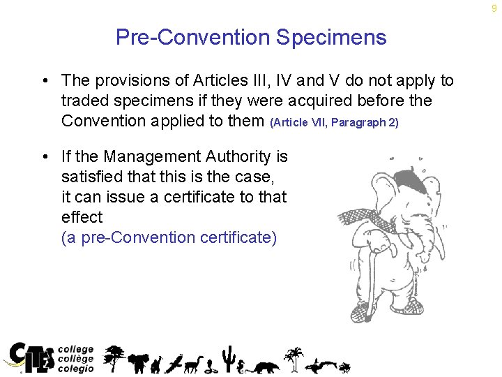 9 Pre-Convention Specimens • The provisions of Articles III, IV and V do not