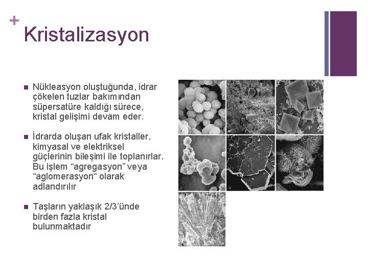 + Kristalizasyon n Nükleasyon oluştuğunda, idrar çökelen tuzlar bakımından süpersatüre kaldığı sürece, kristal gelişimi + Kristalizasyon n Nükleasyon oluştuğunda, idrar çökelen tuzlar bakımından süpersatüre kaldığı sürece, kristal gelişimi