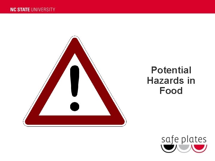 Potential Hazards in Food 