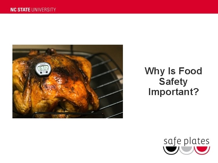 Why Is Food Safety Important? 