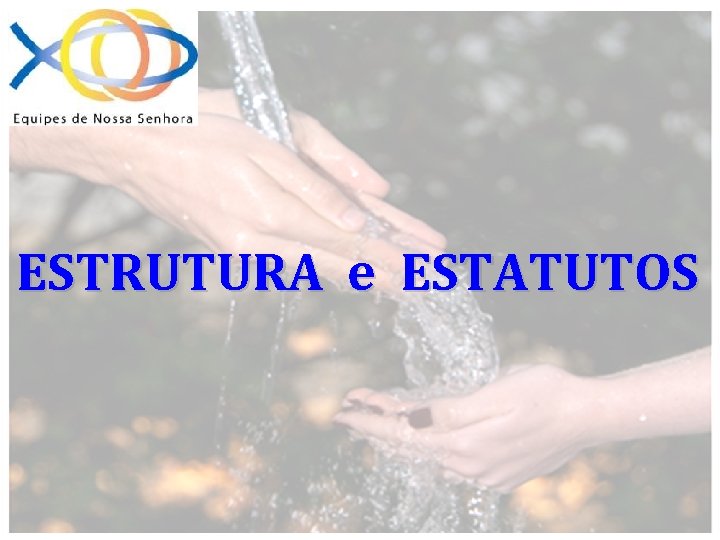 ESTRUTURA e ESTATUTOS 