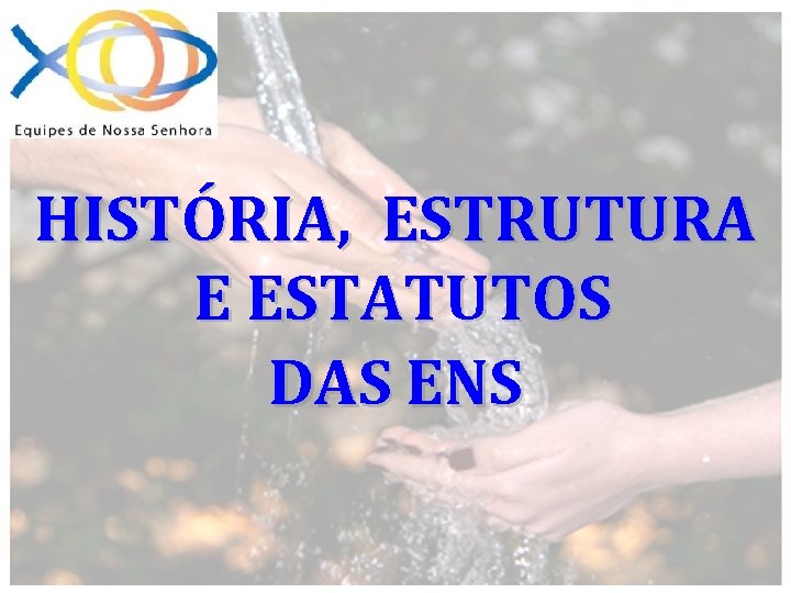 HISTÓRIA, ESTRUTURA E ESTATUTOS DAS ENS 