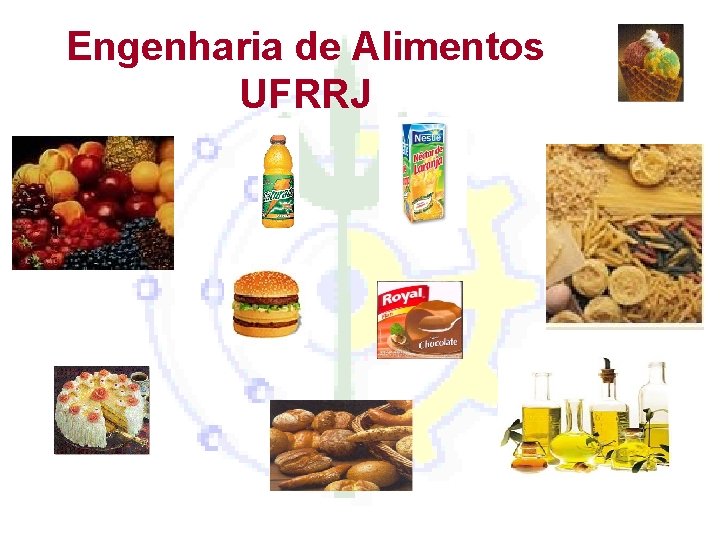 Engenharia de Alimentos UFRRJ 