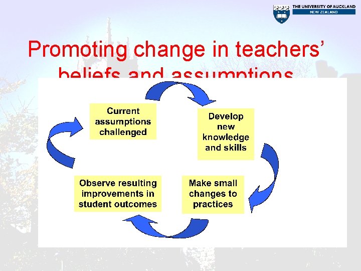 Promoting change in teachers’ beliefs and assumptions 