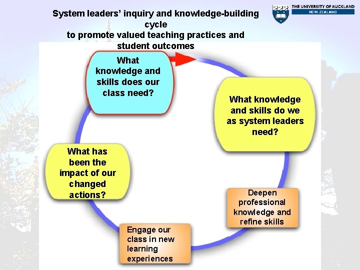 System leaders’ inquiry and knowledge-building cycle to promote valued teaching practices and student outcomes