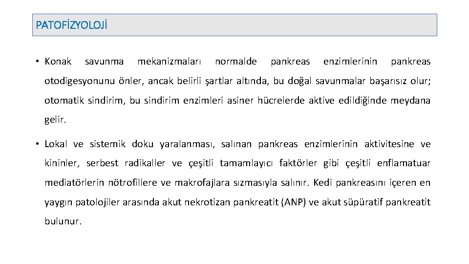 PATOFİZYOLOJİ • Konak savunma mekanizmaları normalde pankreas enzimlerinin pankreas otodigesyonunu önler, ancak belirli şartlar