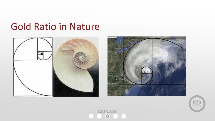 Gold Ratio in Nature Gold Ratio in Nature