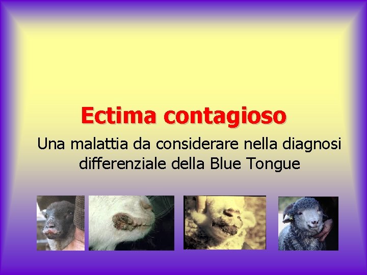 Ectima contagioso Una malattia da considerare nella diagnosi differenziale della Blue Tongue 