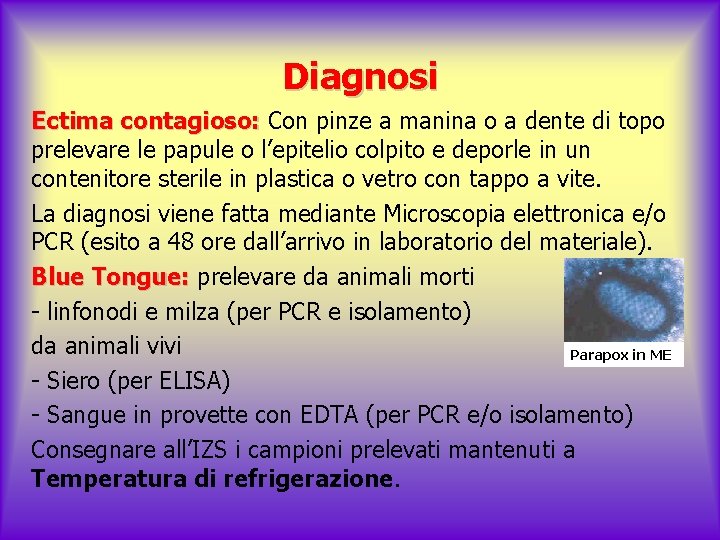 Diagnosi Ectima contagioso: Con pinze a manina o a dente di topo prelevare le