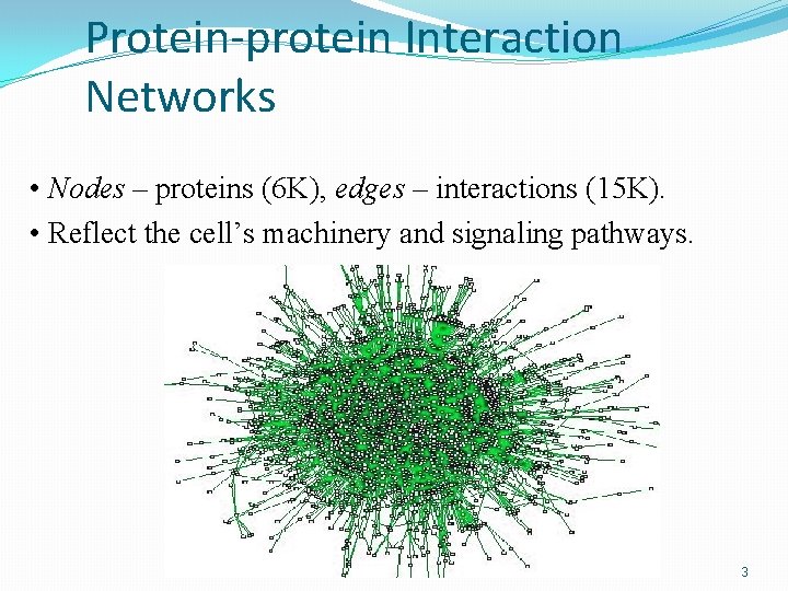 Protein-protein Interaction Networks • Nodes – proteins (6 K), edges – interactions (15 K).
