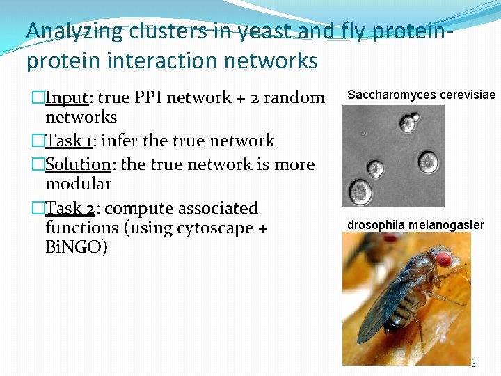Analyzing clusters in yeast and fly protein interaction networks �Input: true PPI network +
