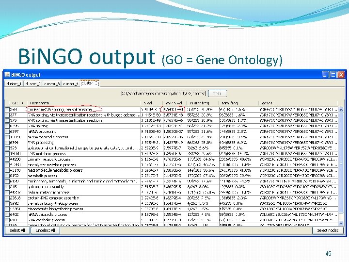 Bi. NGO output (GO = Gene Ontology) 45 