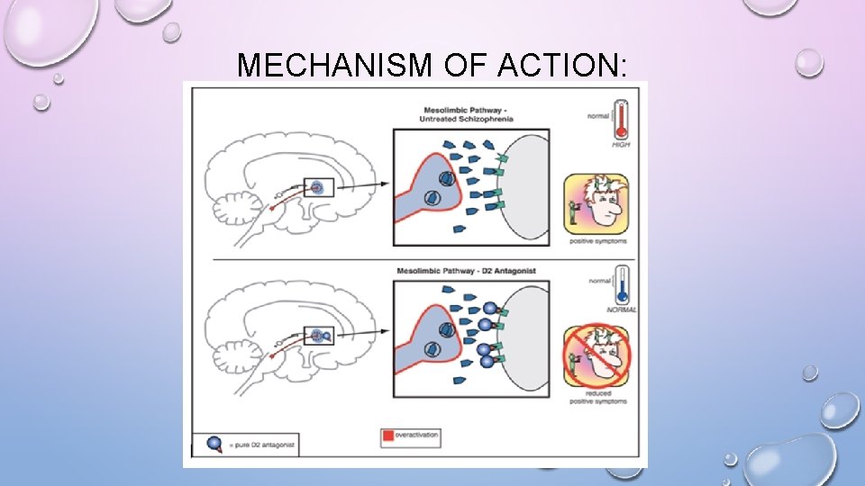 MECHANISM OF ACTION: 