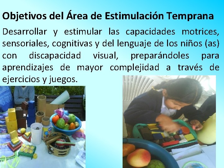 Objetivos del Área de Estimulación Temprana Desarrollar y estimular las capacidades motrices, sensoriales, cognitivas