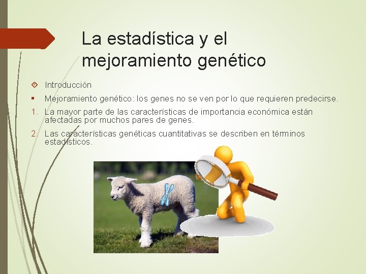 La estadística y el mejoramiento genético Introducción § Mejoramiento genético: los genes no se