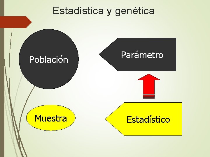 Estadística y genética Población Muestra Parámetro Estadístico 