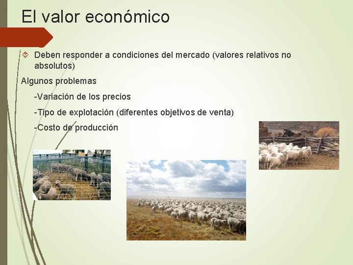 El valor económico Deben responder a condiciones del mercado (valores relativos no absolutos) Algunos