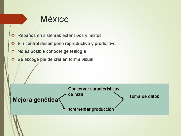 México Rebaños en sistemas extensivos y mixtos Sin control desempeño reproductivo y productivo No