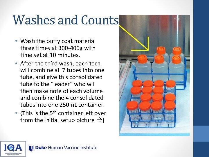 Washes and Counts • Wash the buffy coat material three times at 300 -400 Washes and Counts • Wash the buffy coat material three times at 300 -400