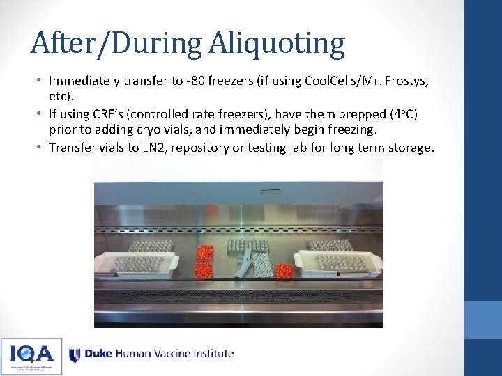 After/During Aliquoting • Immediately transfer to -80 freezers (if using Cool. Cells/Mr. Frostys, etc). After/During Aliquoting • Immediately transfer to -80 freezers (if using Cool. Cells/Mr. Frostys, etc).