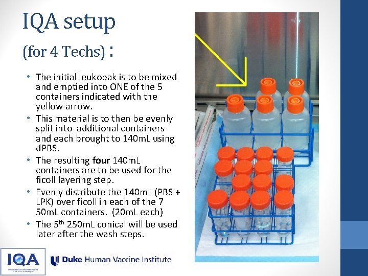 IQA setup (for 4 Techs) : • The initial leukopak is to be mixed IQA setup (for 4 Techs) : • The initial leukopak is to be mixed