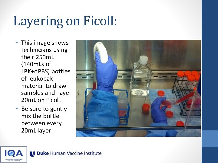 Layering on Ficoll: • This image shows technicians using their 250 m. L (140 Layering on Ficoll: • This image shows technicians using their 250 m. L (140
