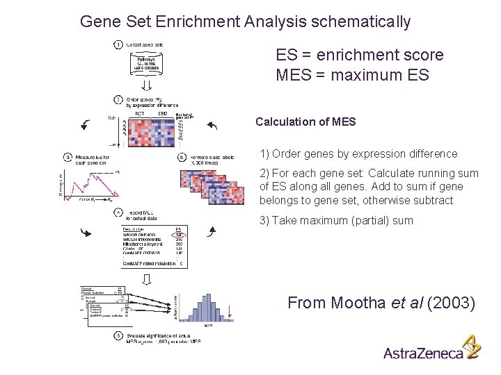 Gene Set Enrichment Analysis schematically ES = enrichment score MES = maximum ES Calculation