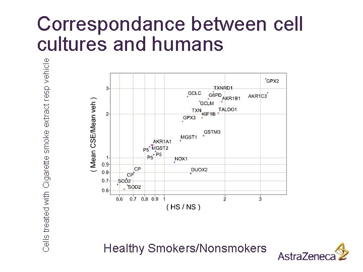 Cells treated with Cigarette smoke extract resp vehicle Correspondance between cell cultures and humans