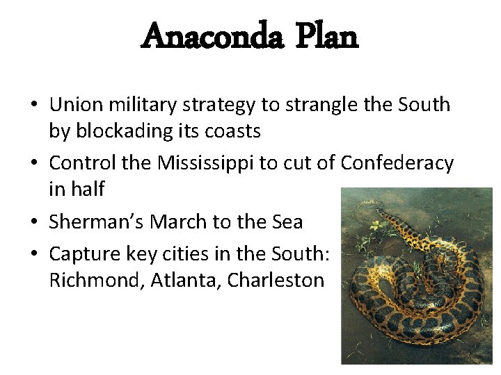 Anaconda Plan • Union military strategy to strangle the South by blockading its coasts