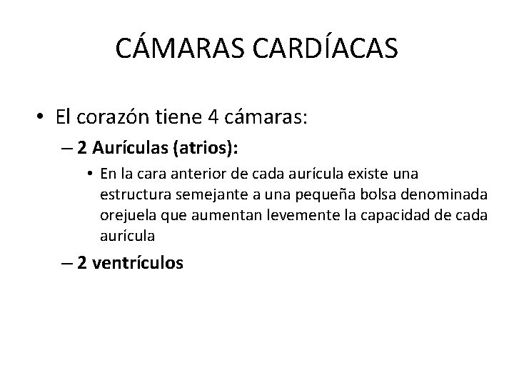 CÁMARAS CARDÍACAS • El corazón tiene 4 cámaras: – 2 Aurículas (atrios): • En