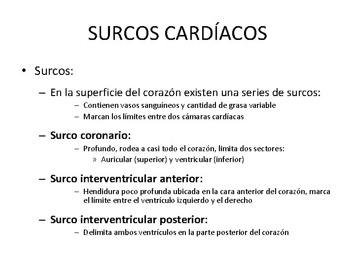 SURCOS CARDÍACOS • Surcos: – En la superficie del corazón existen una series de