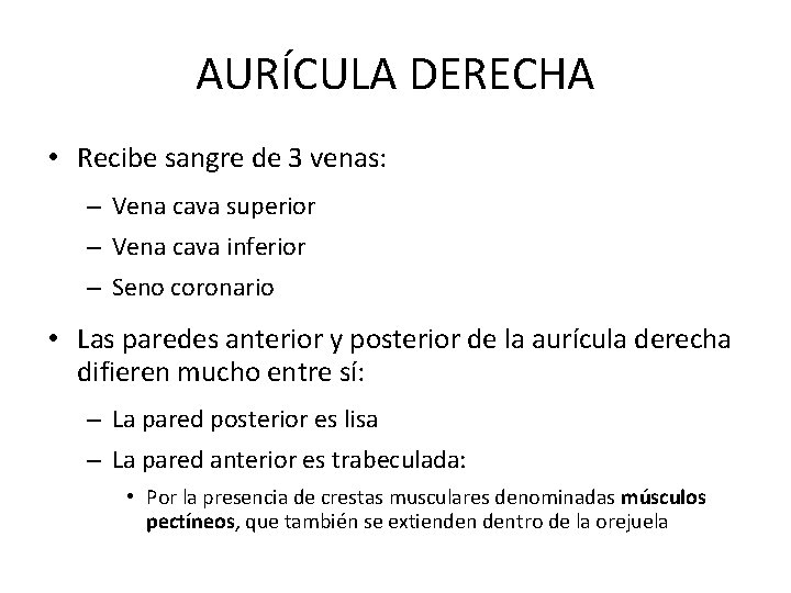 AURÍCULA DERECHA • Recibe sangre de 3 venas: – Vena cava superior – Vena