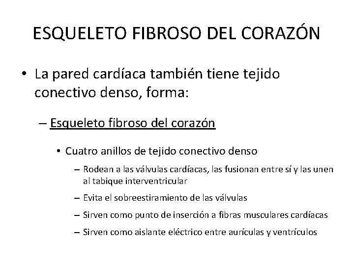 ESQUELETO FIBROSO DEL CORAZÓN • La pared cardíaca también tiene tejido conectivo denso, forma: