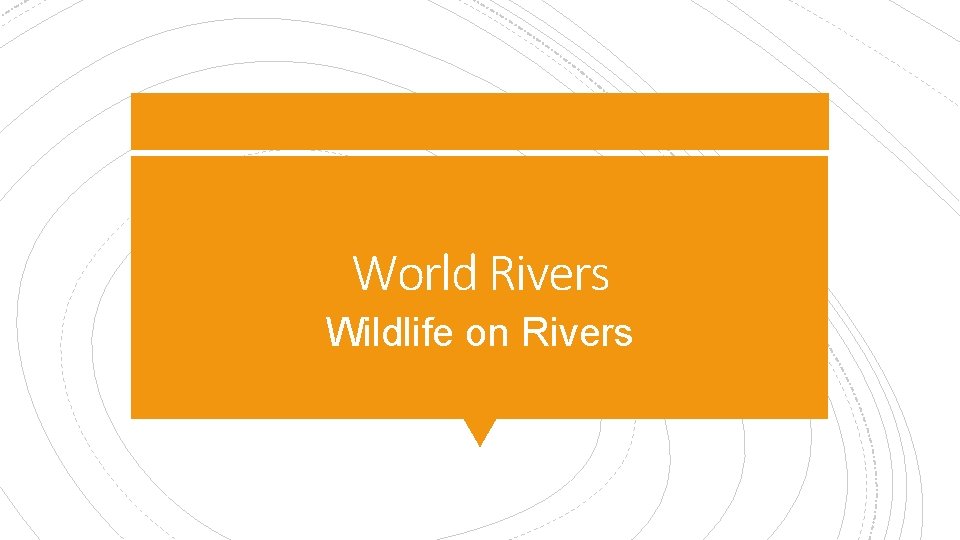 World Rivers Wildlife on Rivers 