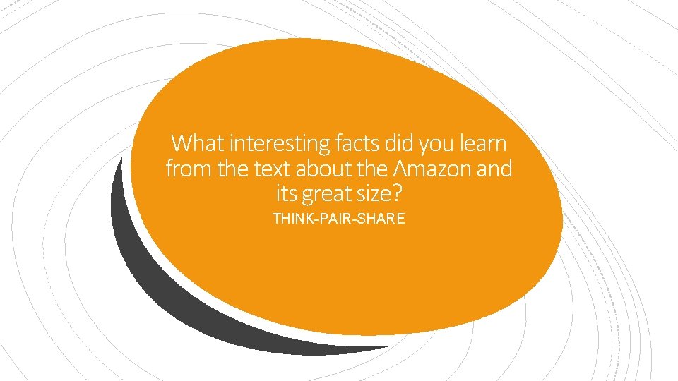 What interesting facts did you learn from the text about the Amazon and its