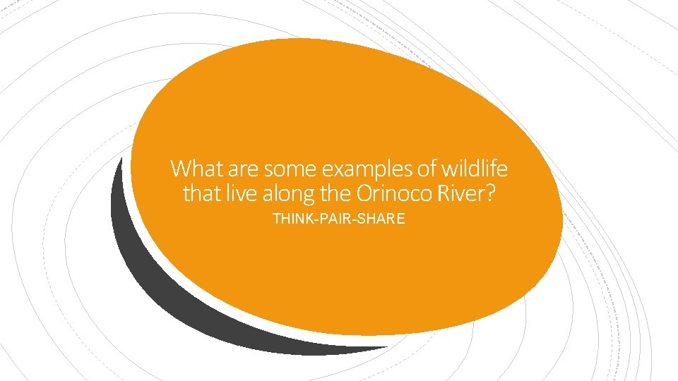 What are some examples of wildlife that live along the Orinoco River? THINK-PAIR-SHARE 