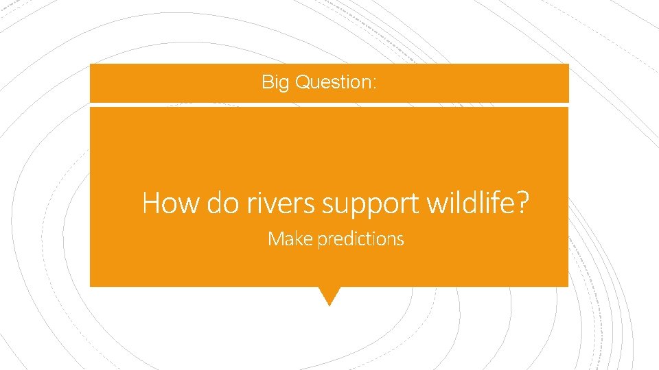 Big Question: How do rivers support wildlife? Make predictions 