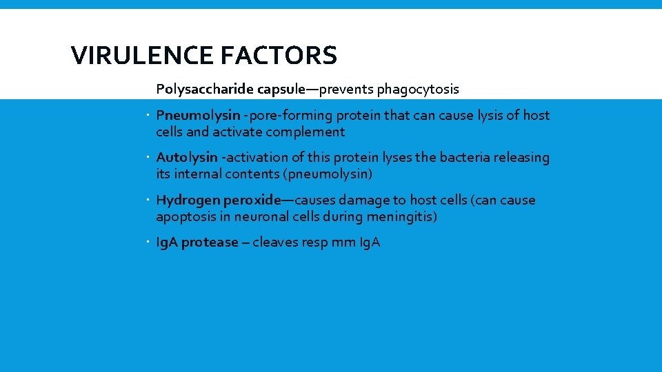 VIRULENCE FACTORS Polysaccharide capsule—prevents phagocytosis Pneumolysin -pore-forming protein that can cause lysis of host