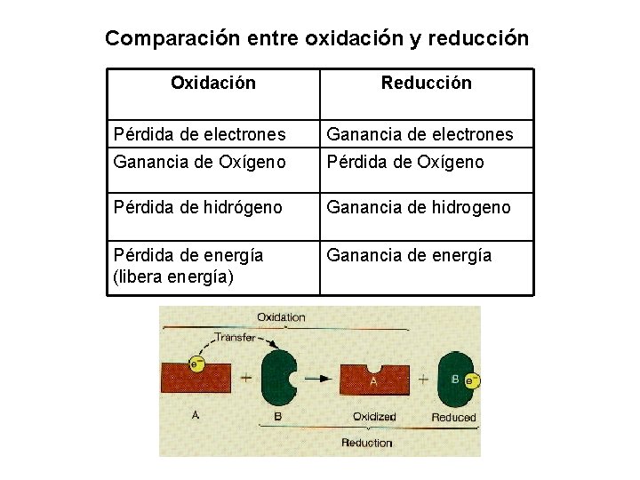 Comparación entre oxidación y reducción Oxidación Reducción Pérdida de electrones Ganancia de Oxígeno Pérdida