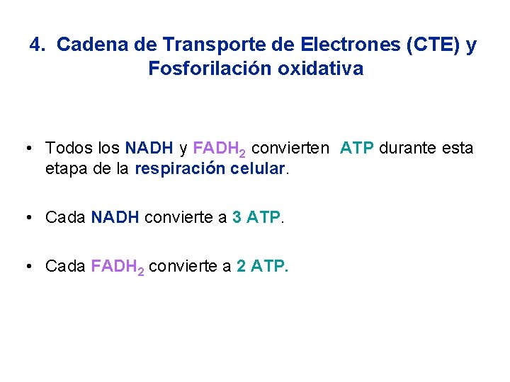 4. Cadena de Transporte de Electrones (CTE) y Fosforilación oxidativa • Todos los NADH