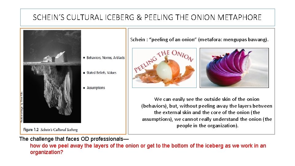 SCHEIN’S CULTURAL ICEBERG & PEELING THE ONION METAPHORE Schein : “peeling of an onion”