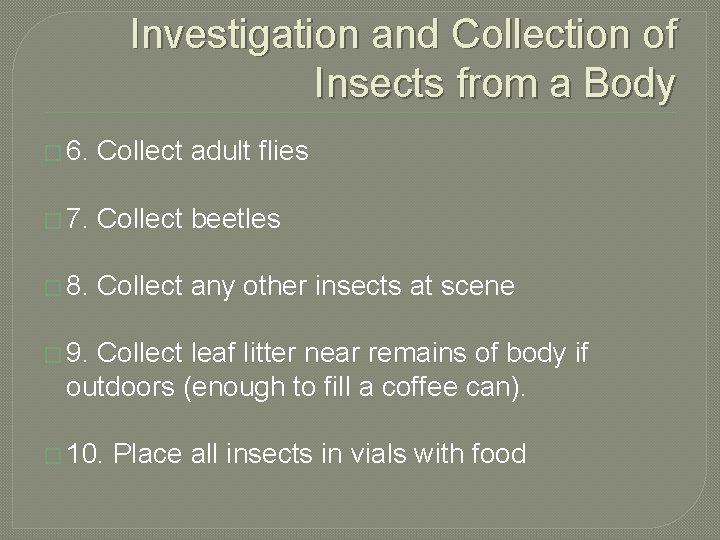 Investigation and Collection of Insects from a Body � 6. Collect adult flies �