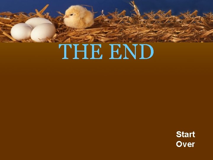 THE END Start Over 