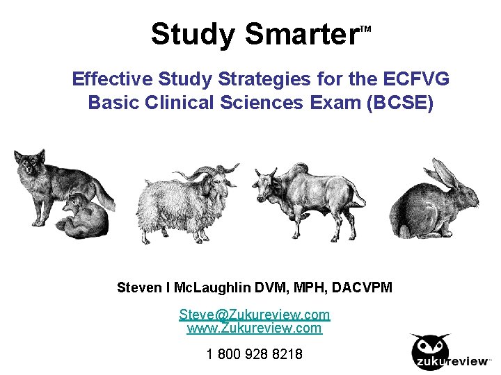 Study Smarter TM Effective Study Strategies for the ECFVG Basic Clinical Sciences Exam (BCSE)