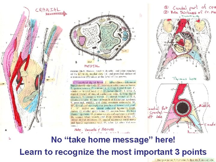 Another study technique that doesn’t work Treating every single factoid as if it were
